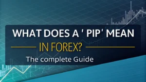 Pip Mean